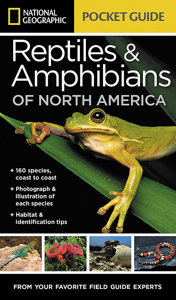 National Geographic Pocket Guide to Reptiles & Amphibians of North America Book image 0