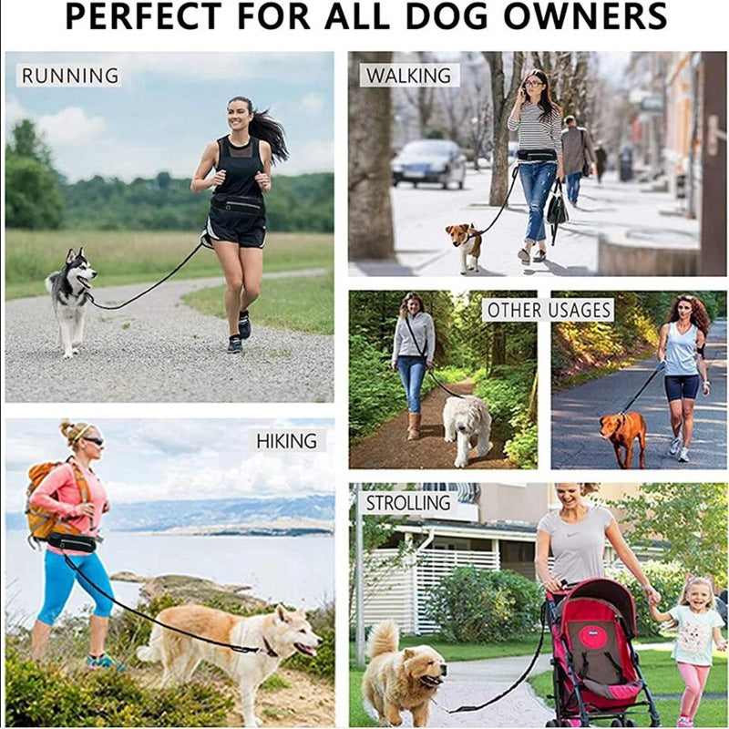 Hands Free Dog Leash Pet Walking And Training Belt With Shock Absorbing Bungee Leash For Up To 180lbs