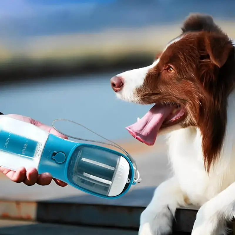 Portable Tangled Trails Outdoor Gear three-in-one dog pet cup with built-in water bowl and container for small pets.