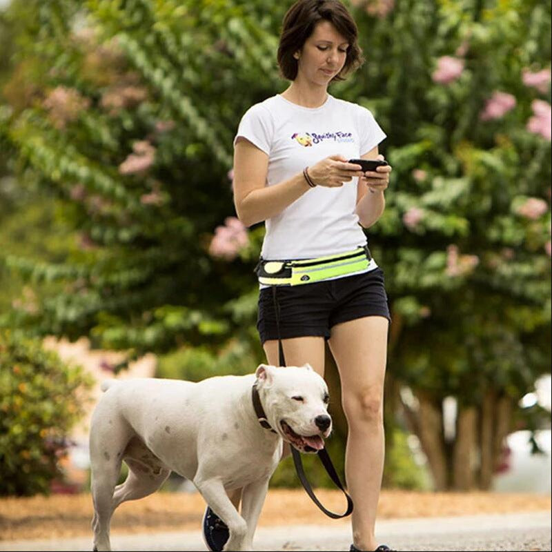 Hands Free Dog Leash Pet Walking And Training Belt With Shock Absorbing Bungee Leash For Up To 180lbs