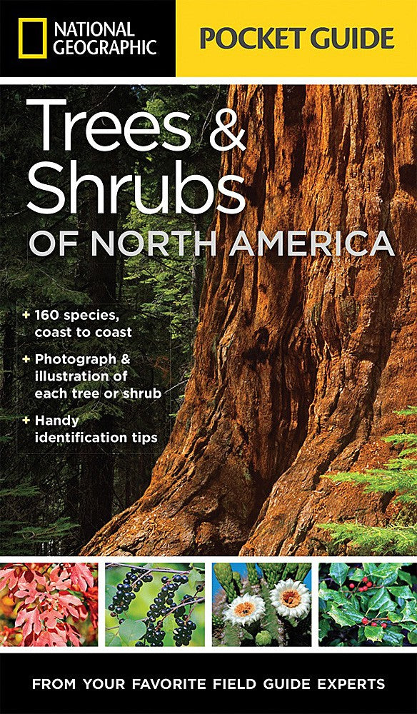 Trees Shrubs North America Pocket Guide Book Field Identification Hiking Outdoor