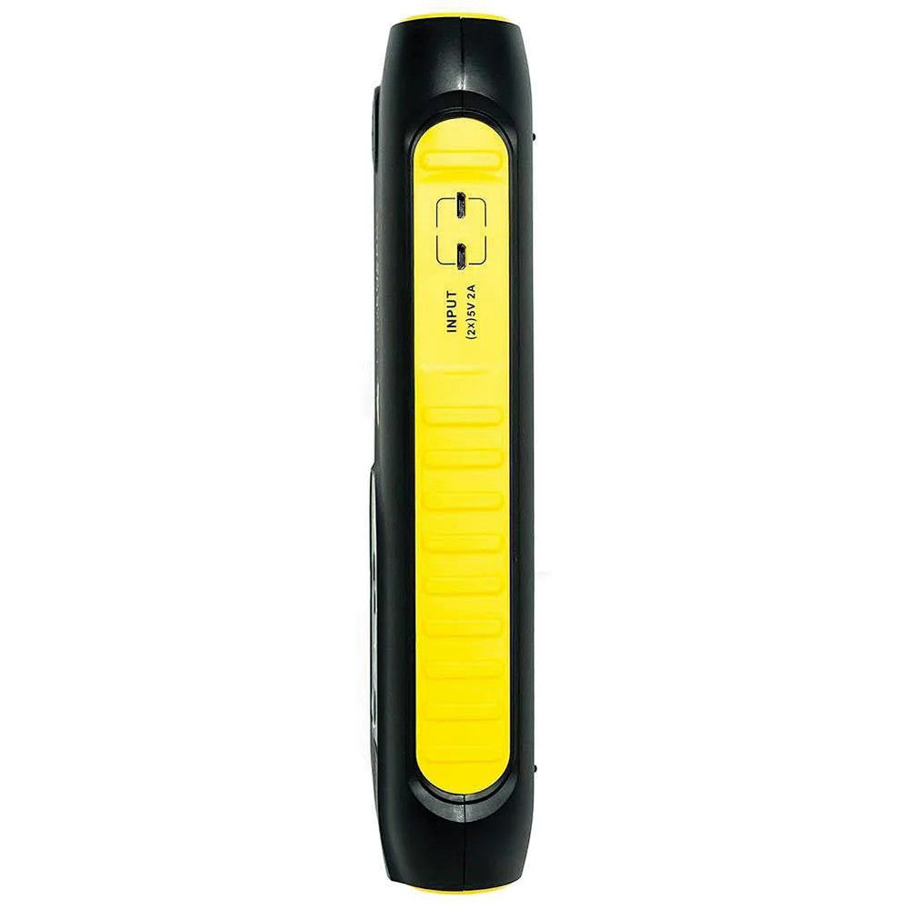 Lion Energy Lion Cub Go Portable Power Battery Pack â€“ Lightweight Power