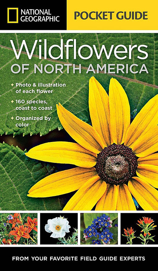 Wildflowers North America Pocket Guide Book Field Identification Hiking Camping