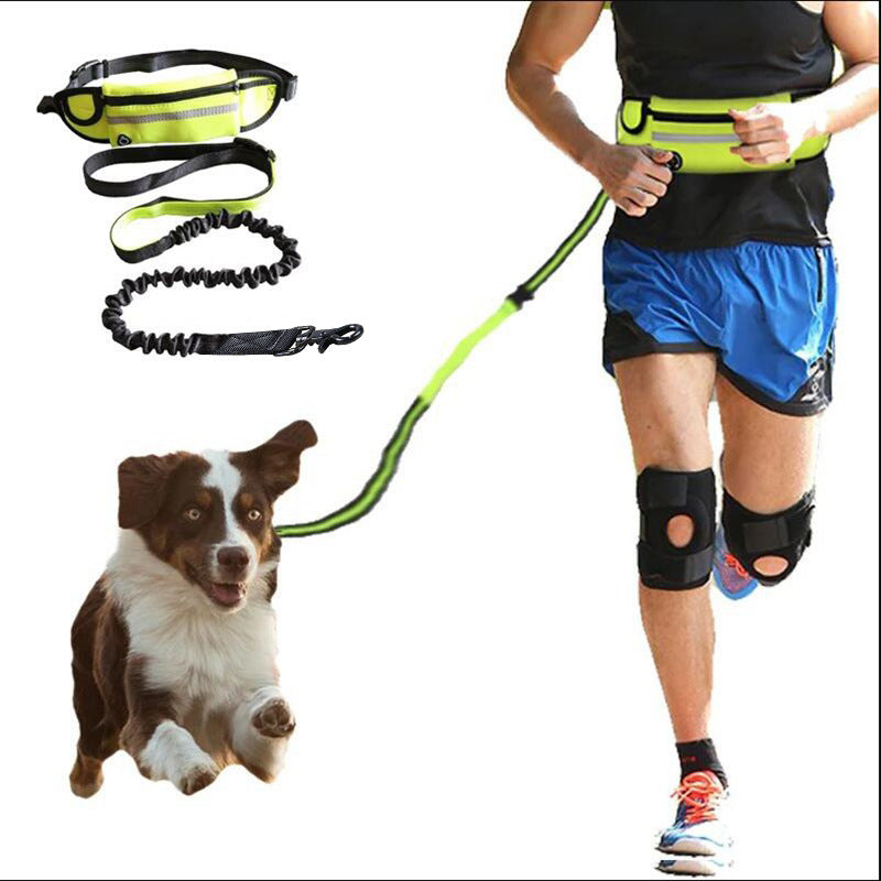 Hands Free Dog Leash Pet Walking And Training Belt With Shock Absorbing Bungee Leash For Up To 180lbs