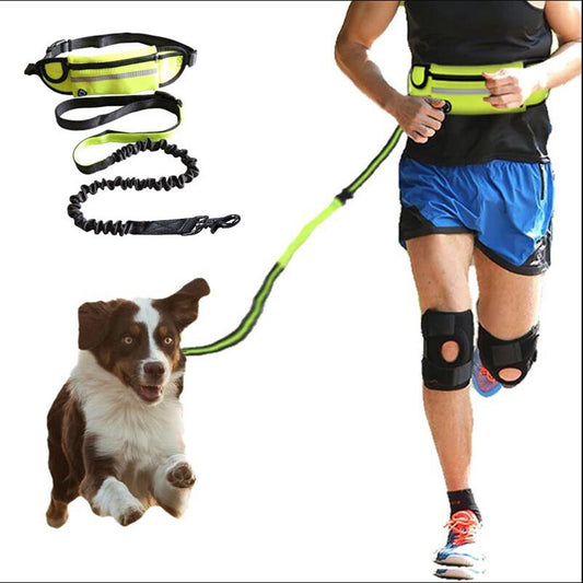 Hands Free Dog Leash Pet Walking And Training Belt With Shock Absorbing Bungee Leash For Up To 180lbs